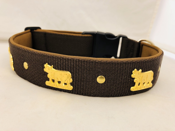 Appenzeller Halsband braun/gold